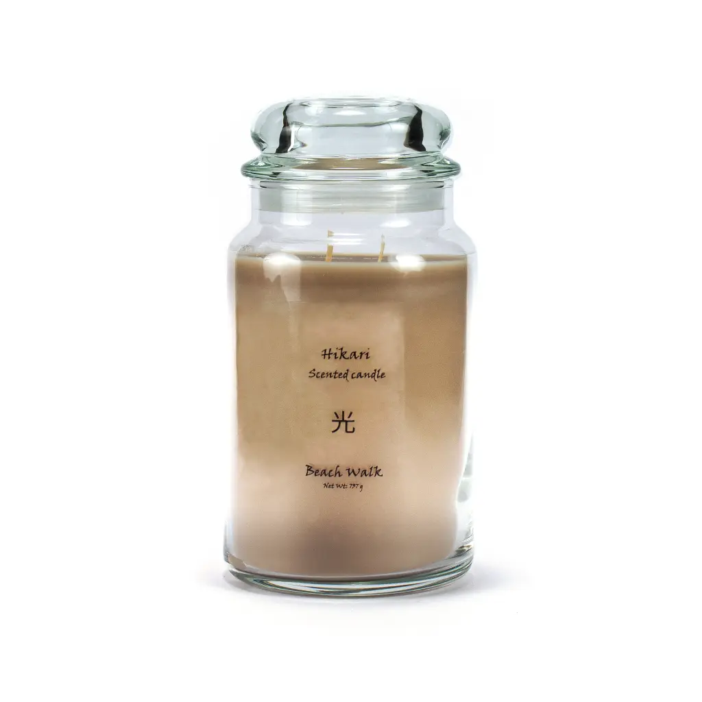 Hikari_BeachWalk (1).webp