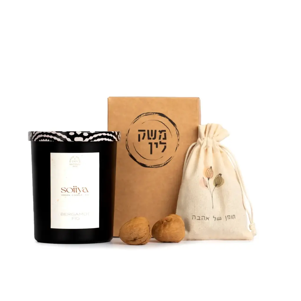 המארז של דודה פאני