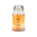 סנדלווד רוז - Hikari Jumbo